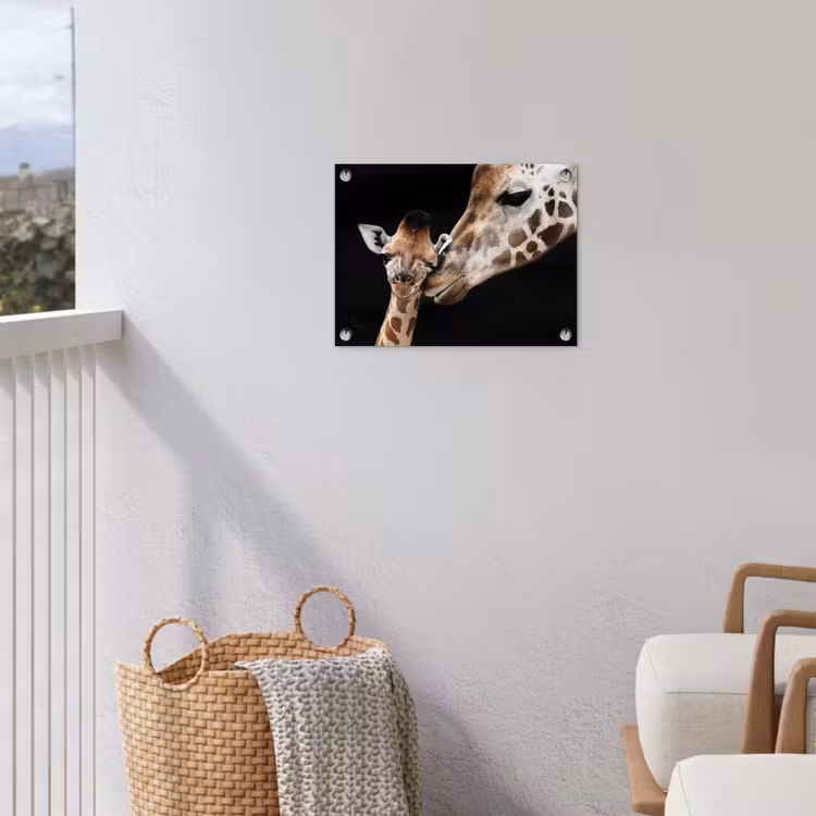 Tuinposter - Giraffe - Dieren - Zwart - Portret - Dieren — 5