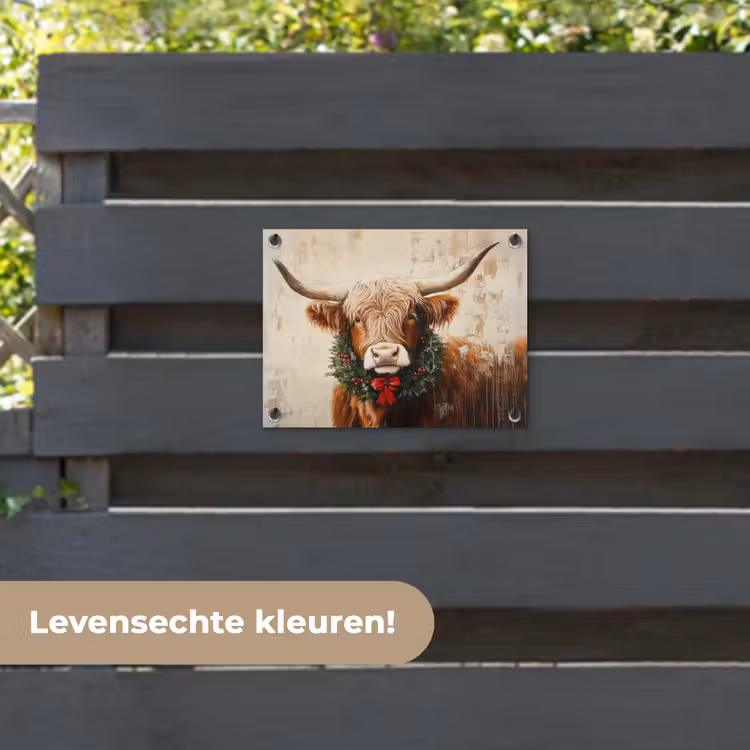 Tuinposter - Kerst - Schotse Hooglander - Bruin - Krans — 6