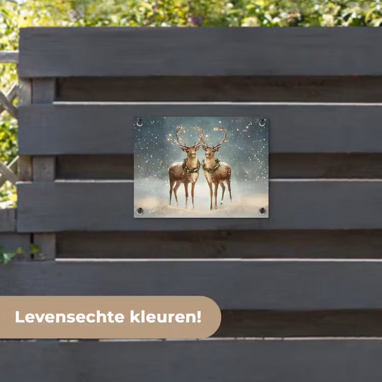 Tuinposter - Kerstmagie - Winterwoud - Rendier — 6