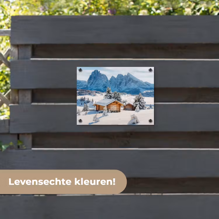 Tuinposter - Landschap - Winter - Sneeuw — 6