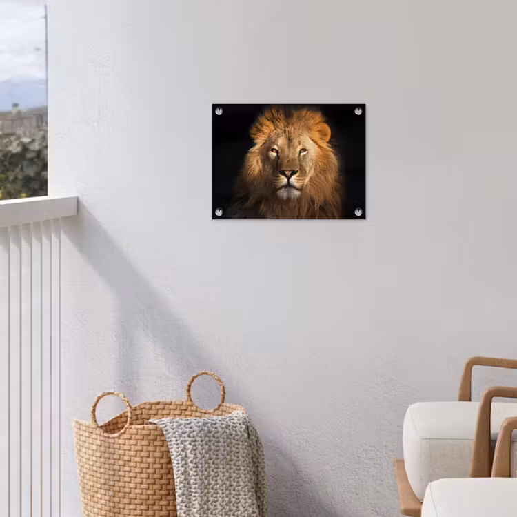 Tuinposter - Leeuw - Dieren - Zwart - Licht - Bruin - Portret — 5