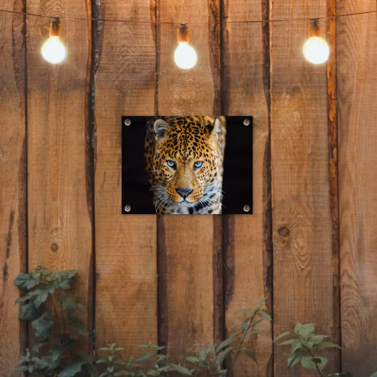 Tuinposter - Luipaard - Dieren - Portret - Wilde dieren - Zwart — 3