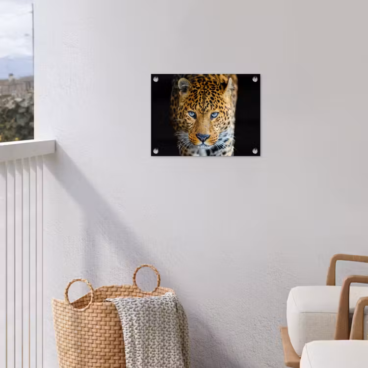Tuinposter - Luipaard - Dieren - Portret - Wilde dieren - Zwart — 5