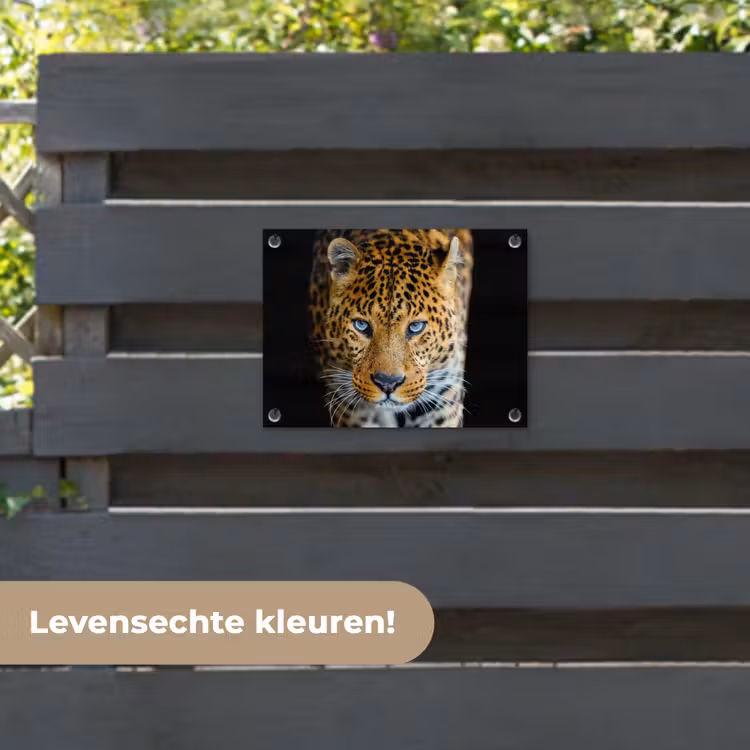 Tuinposter - Luipaard - Dieren - Portret - Wilde dieren - Zwart — 6