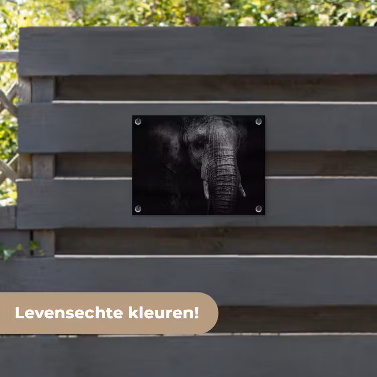 Tuinposter - Olifant - Dier - Portret — 6