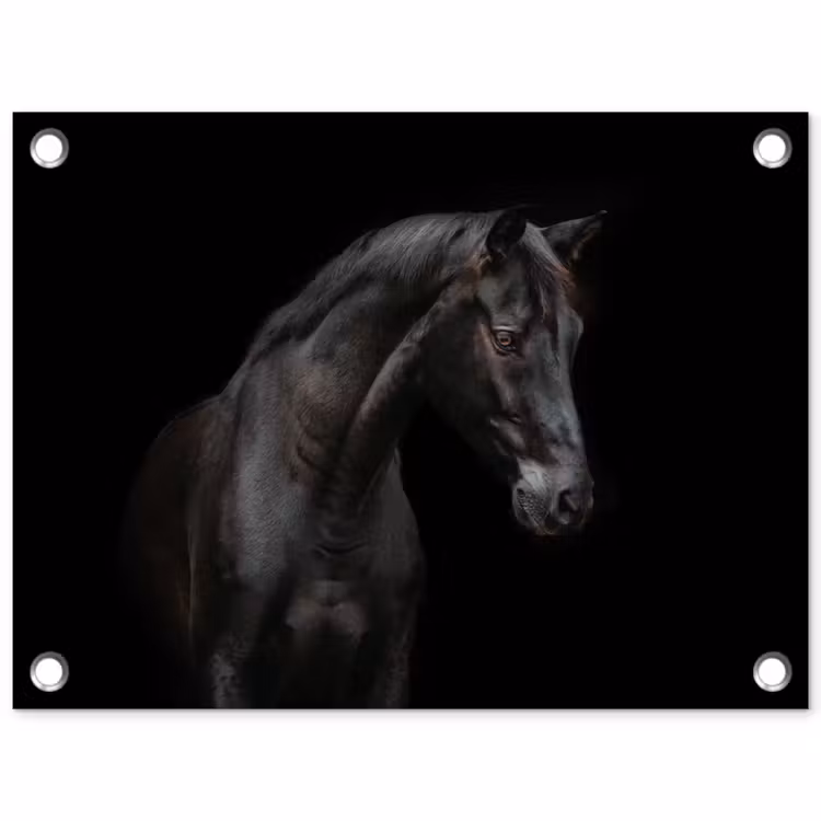 Tuinposter - Paard - Dieren - Zwart - Portret — 1