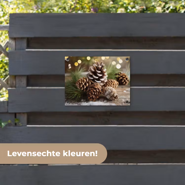 Tuinposter - Dennenappels - Kerstsfeer - Bruin - Groen — 6