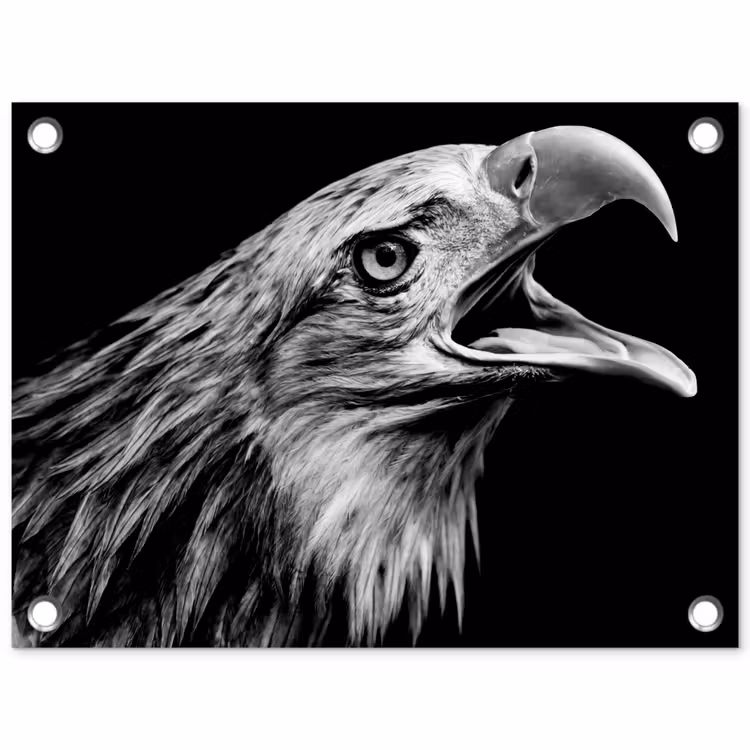 Tuinposter - Adelaar - Portret - Roofvogels - Zwart - Wit - Vogel — 1