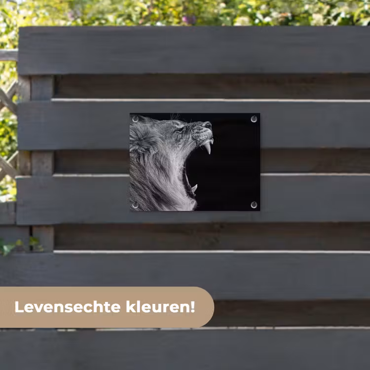 Tuinposter - Dieren - Leeuw - Zwart - Wit - Portret — 6