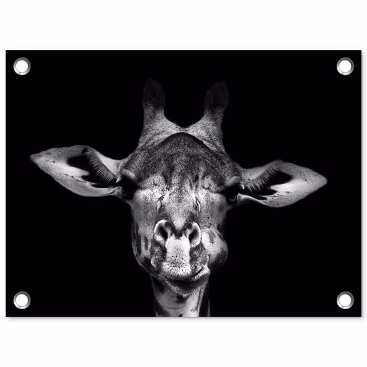 Tuinposter - Giraffe - Portret - Dieren - Zwart - Wit — 1