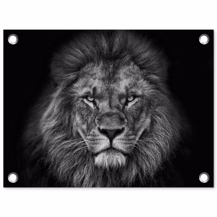 Tuinposter - Leeuw - Dieren - Zwart - Wit — 1