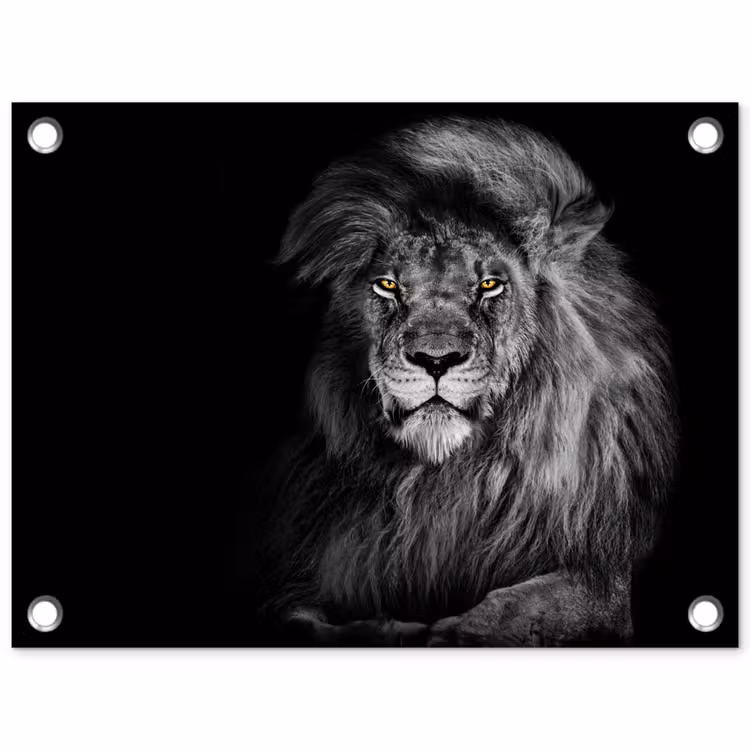 Tuinposter - Leeuw - Ogen - Oranje - Zwart wit - Dieren - Portret — 1