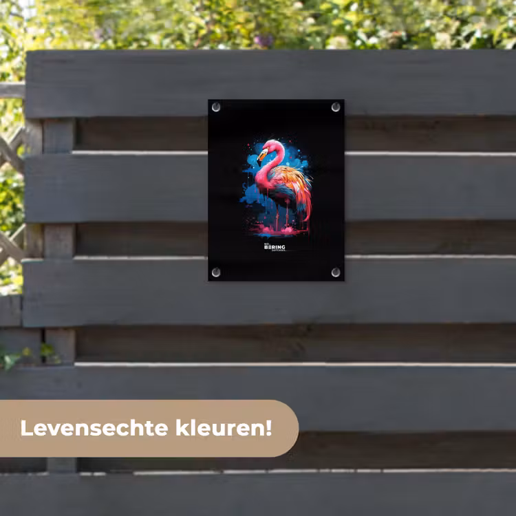 Tuinposter - Gekleurde flamingo voor een verfexplosie — 6