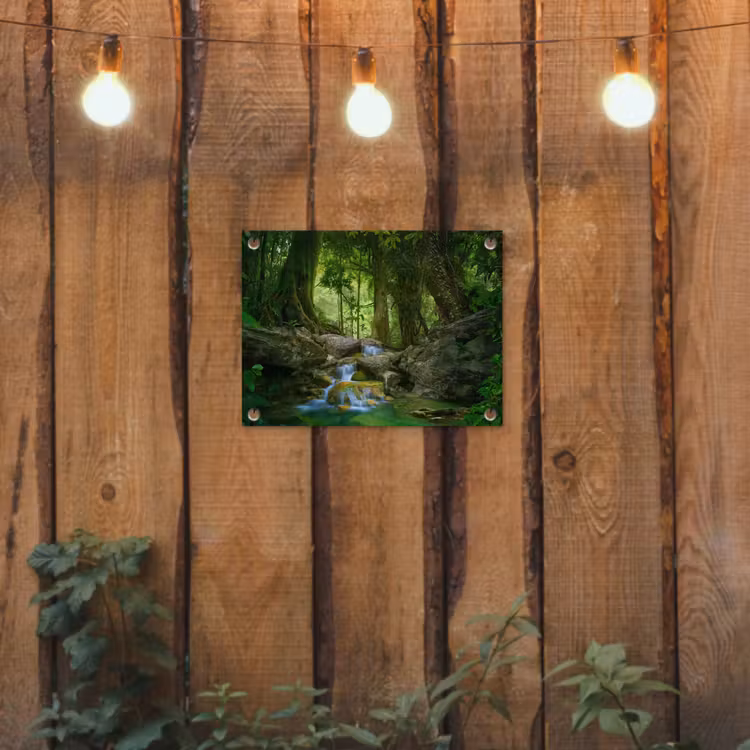 Tuinposter - Jungle - Stenen - Water - Natuur - Planten — 3