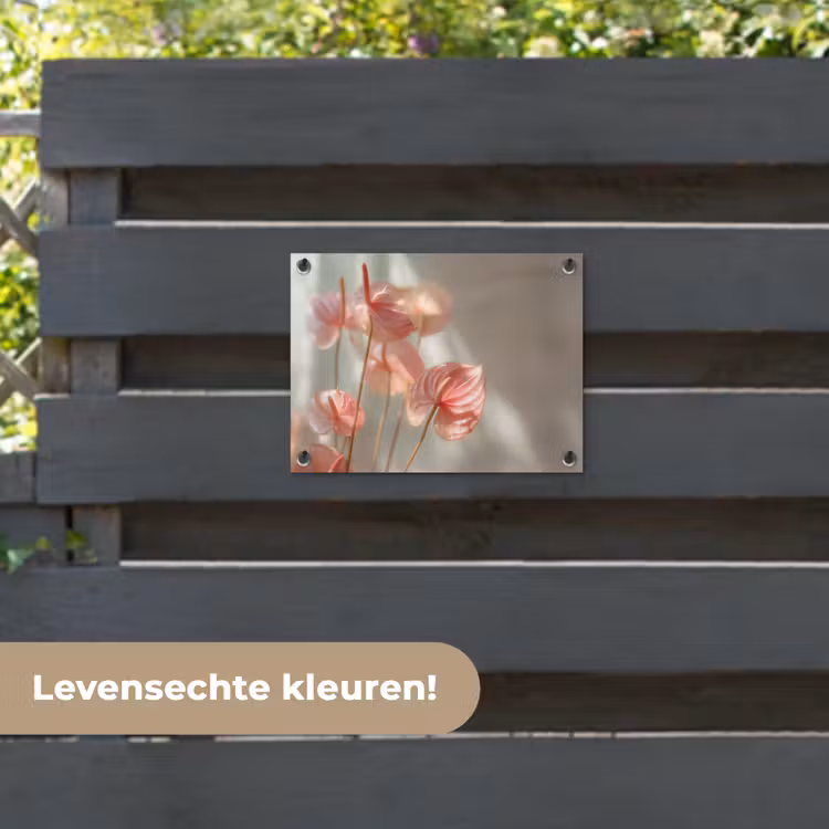 Tuinposter - Bloemen - Stelen - Roze - Schaduw — 6