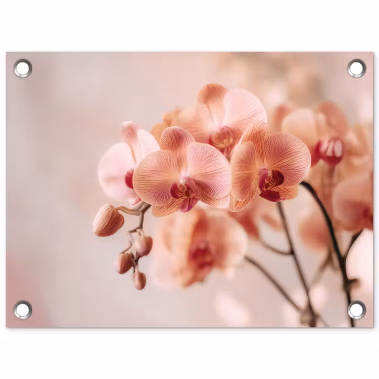 Tuinposter - Orchidee - Bloemen - Roze - Bloemblaadjes — 1