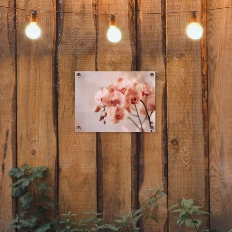 Tuinposter - Orchidee - Bloemen - Roze - Bloemblaadjes — 3