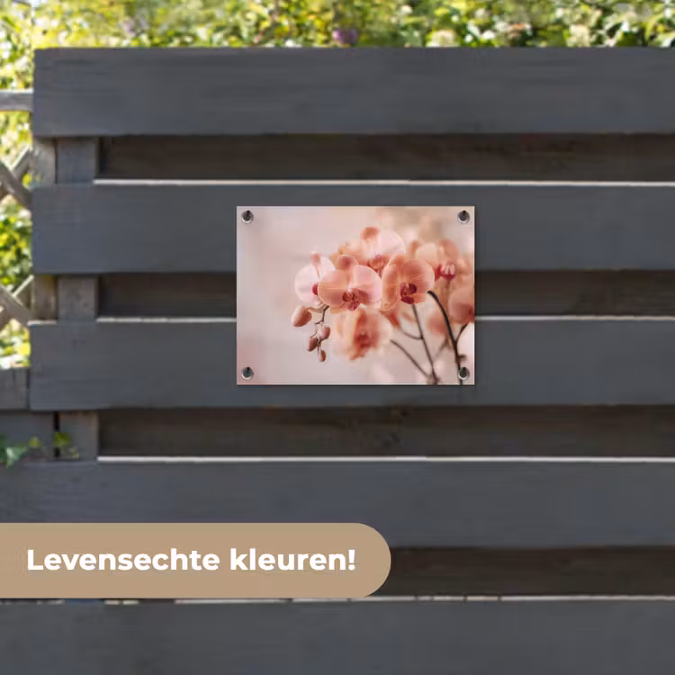 Tuinposter - Orchidee - Bloemen - Roze - Bloemblaadjes — 6