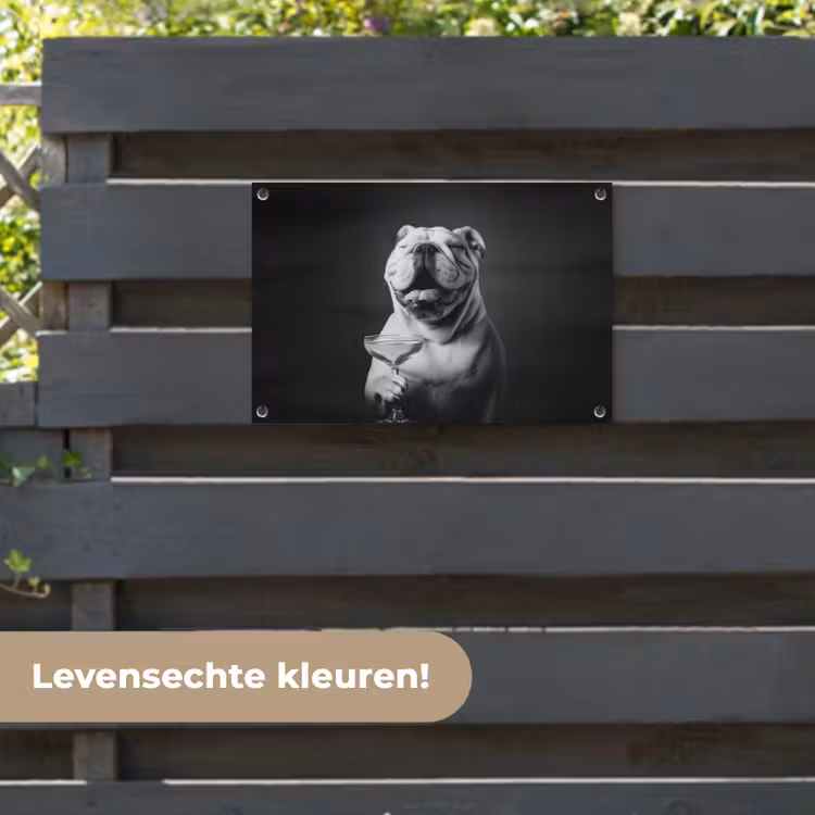 Tuinposter - Buldog - Hond - Glas — 6