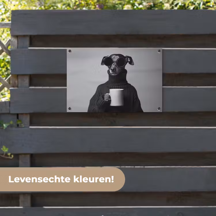 Tuinposter - Coltrui - Hond - Bril - Mok — 6