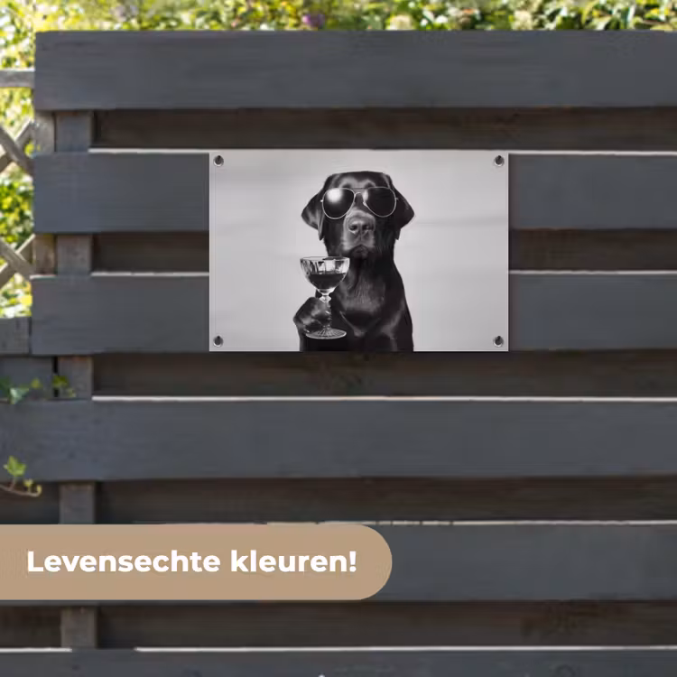 Tuinposter - Hond - Zwart - Wijnglas - Zonnebril — 6