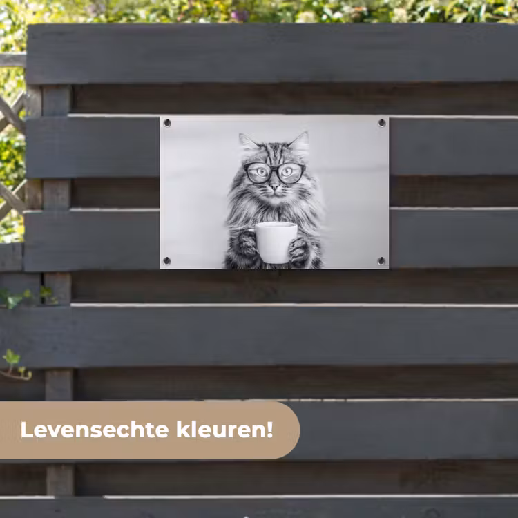 Tuinposter - Kat - Bril - Mok - Pluizig — 6
