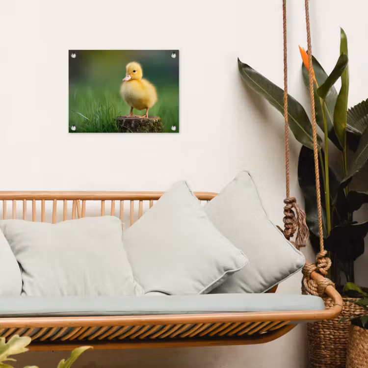 Tuinposter - Kuiken - Eend - Geel - Gras — 4