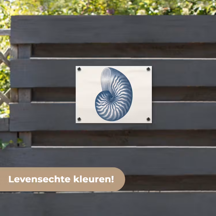 Tuinposter - Blauw - Schelp - Spiraal — 6