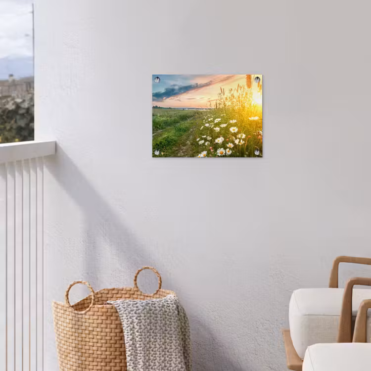 Tuinposter - Bloemen - Madelief - Natuur - Zon - Horizon — 5