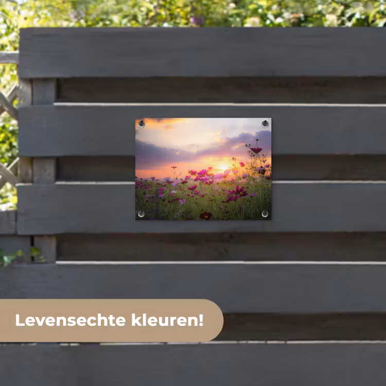 Tuinposter - Bloemen - Roze - Zonsondergang - Natuur - Weide - Horizon — 6