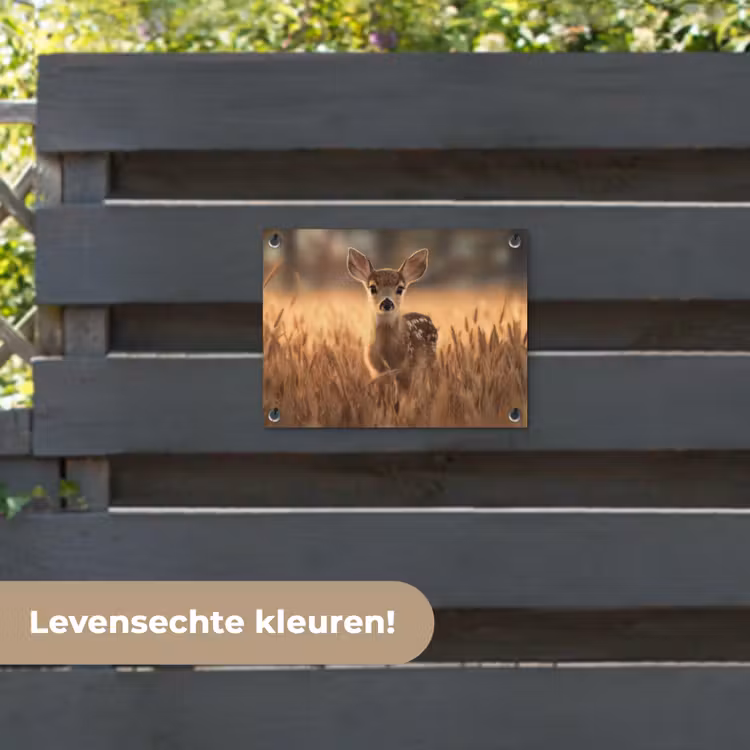 Tuinposter - Hert - Graanveld - Bruin — 6