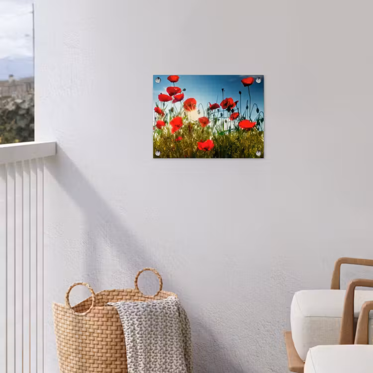 Tuinposter - Klaprozen - Toscane - Zon - Rood - Blauw — 5
