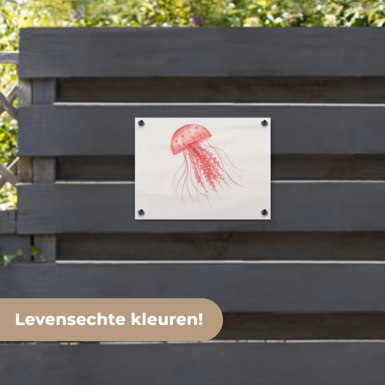 Tuinposter - Kwal - Tentakels - Roze — 6