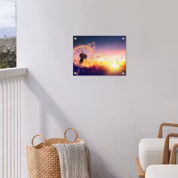 Tuinposter - Paardenbloem - Bloemen - Zonsondergang - Horizon - Nacht — 5
