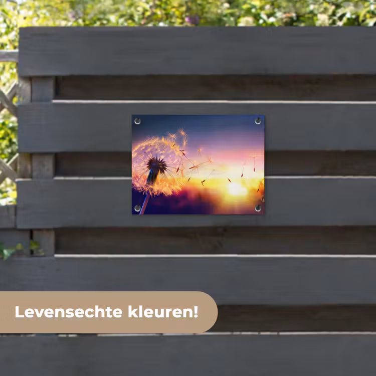 Tuinposter - Paardenbloem - Bloemen - Zonsondergang - Horizon - Nacht — 6