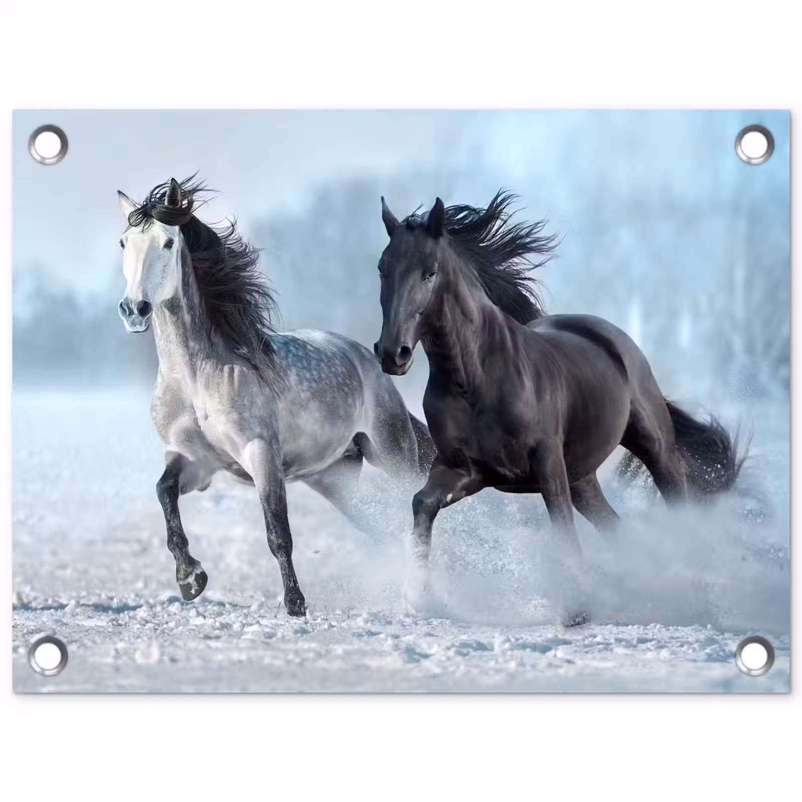 Tuinposter - Paarden - Winter - Dieren - Natuur - Sneeuw — 1