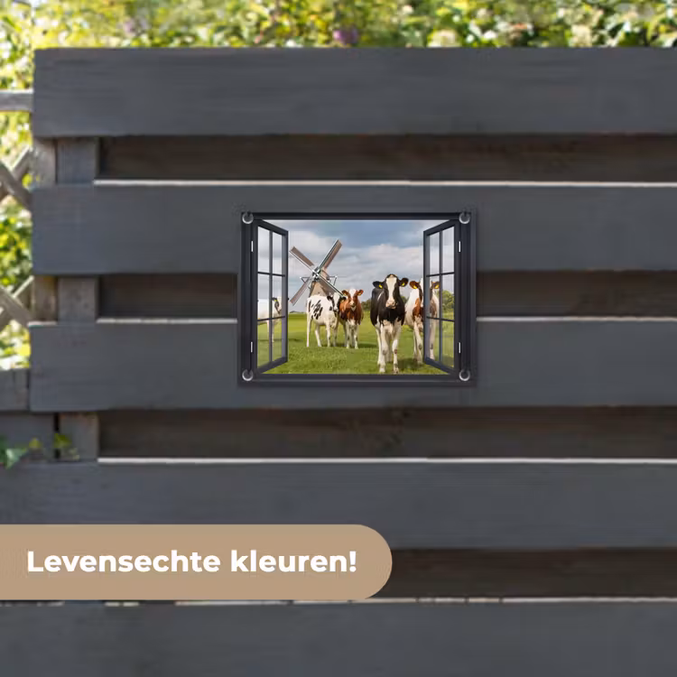 Tuinposter - Doorkijk - Koe - Molen - Koeien - Weiland - Gras - Groen — 6