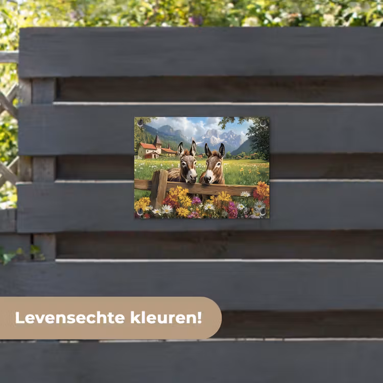 Tuinposter - Ezels - Bloemen - Zomers — 6