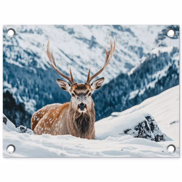 Tuinposter - Hert - Landschap - Winter - Natuur - Dieren - Bergen — 1