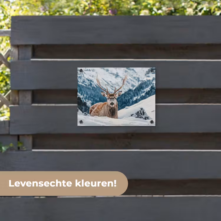 Tuinposter - Hert - Landschap - Winter - Natuur - Dieren - Bergen — 6