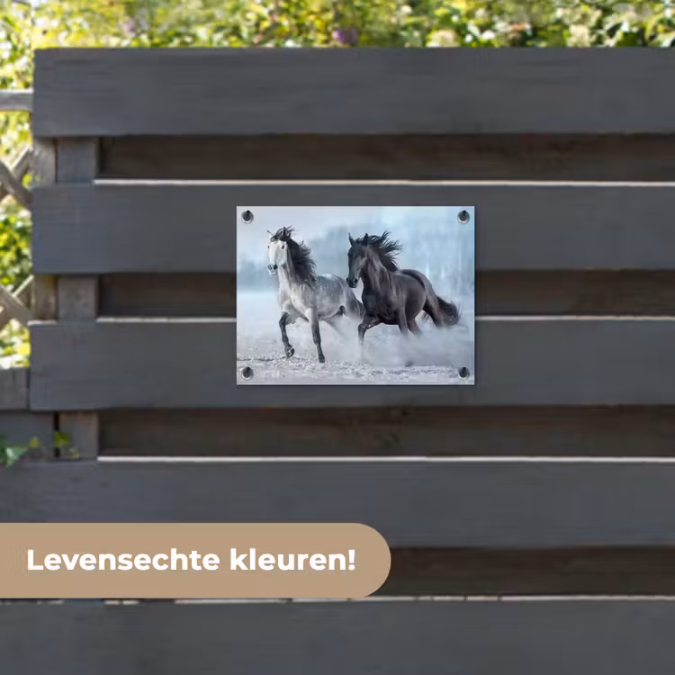 Tuinposter - Paarden - Winter - Dieren - Natuur - Sneeuw — 6