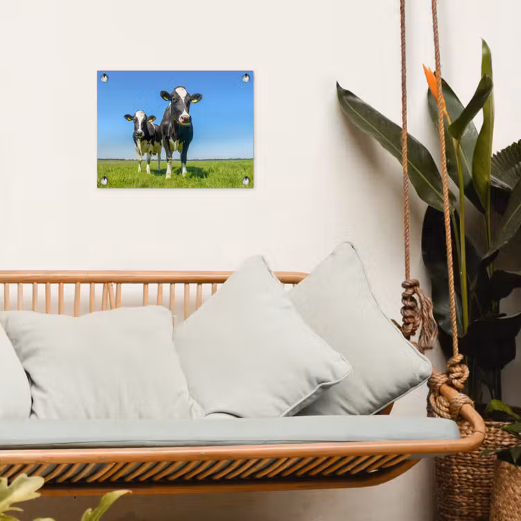 Tuinposter - Koeien - Weiland - Gras - Dieren - Boerderij — 4