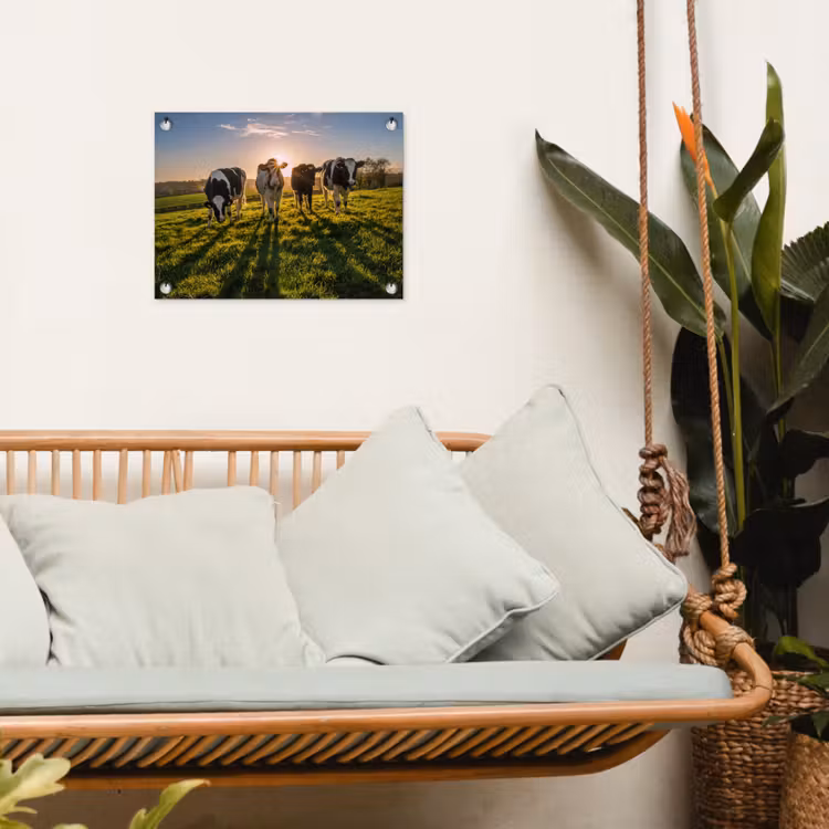 Tuinposter - Koeien - Zon - Gras - Dieren - Boerderij — 4