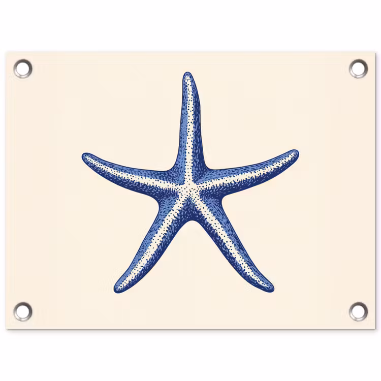 Tuinposter - Blauwe zeester - Minimalistisch - Beige — 1