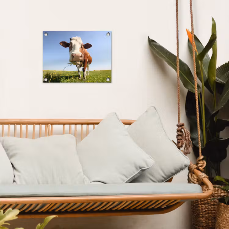 Tuinposter - Koe - Dieren - Bloemen - Gras — 4