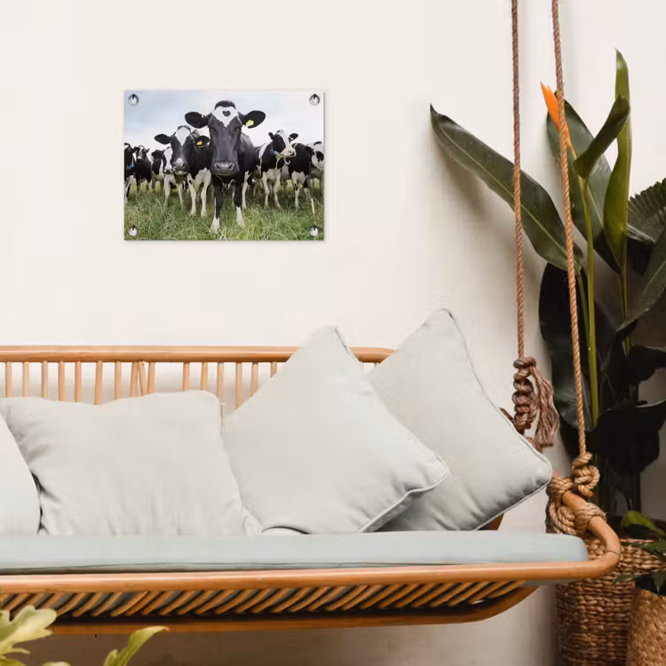 Tuinposter - Koeien - Gras - Lente - Dieren - Weiland - Boerderij — 4
