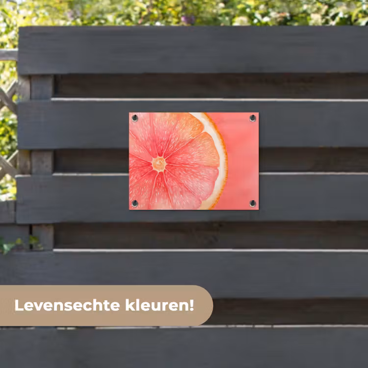 Tuinposter - Grapefruit - Roze - Levendig — 6