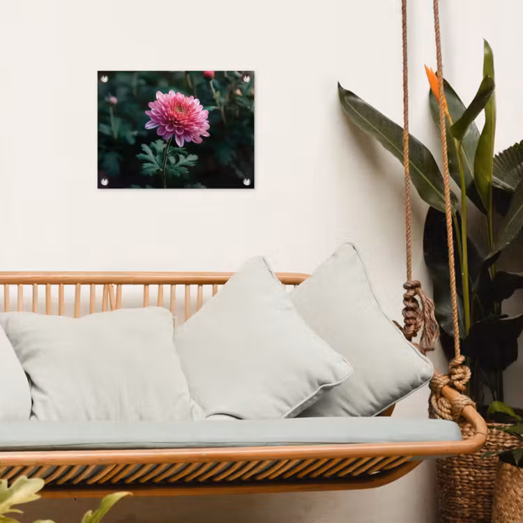 Tuinposter - Blad - Chrysant - Roze - Schaduw — 4