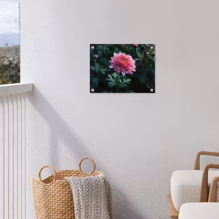 Tuinposter - Blad - Chrysant - Roze - Schaduw — 5
