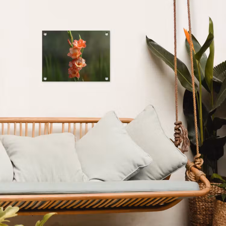 Tuinposter - Bloem - Gladiolen - Zalmroze — 4